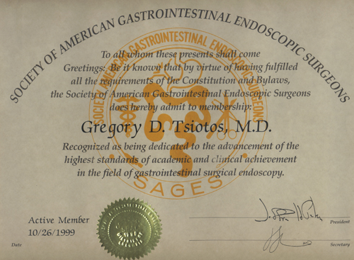 Society of American Gastrointestinal Endoscopic Surgeons